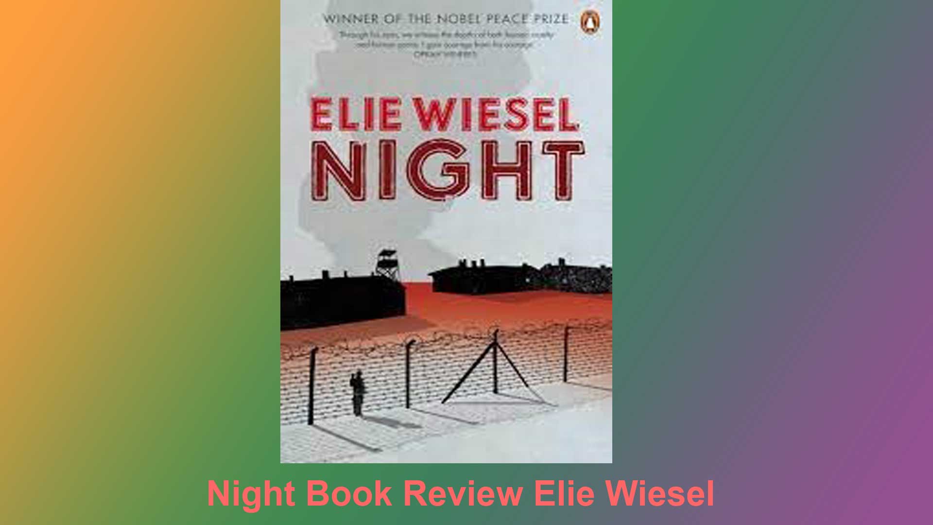 Night Book Review Cover Image